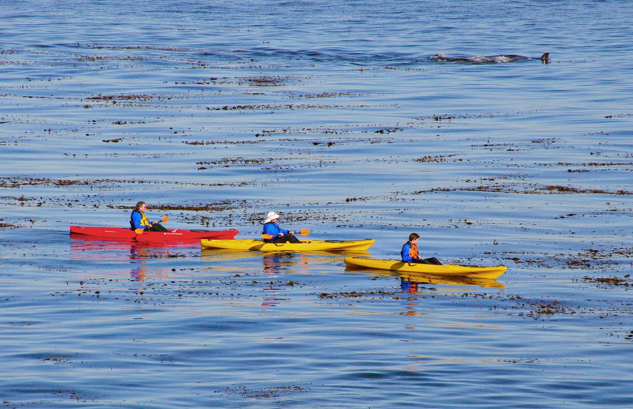 The Ultimate Guide to Kayaking in the Boundary Waters